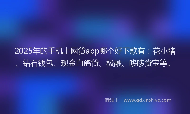 2025年的手机上网贷app哪个好下款有：花小猪、钻石钱包、现金白鸽贷、极融、哆哆贷宝等。