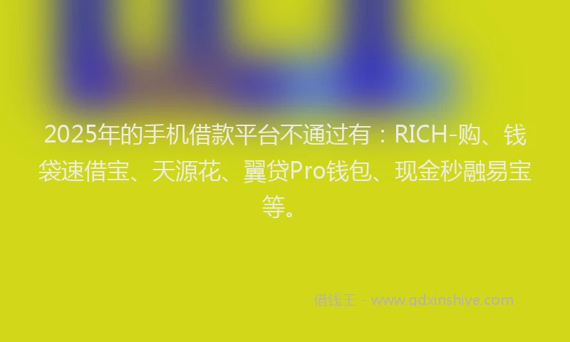 2025年的手机借款平台不通过有：RICH-购、钱袋速借宝、天源花、翼贷Pro钱包、现金秒融易宝等。