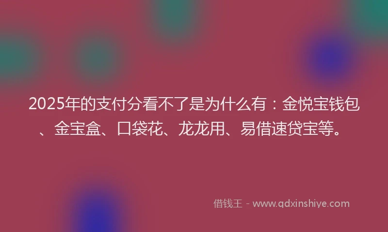 2025年的支付分看不了是为什么有：金悦宝钱包、金宝盒、口袋花、龙龙用、易借速贷宝等。