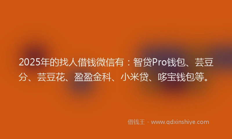2025年的找人借钱微信有：智贷Pro钱包、芸豆分、芸豆花、盈盈金科、小米贷、哆宝钱包等。