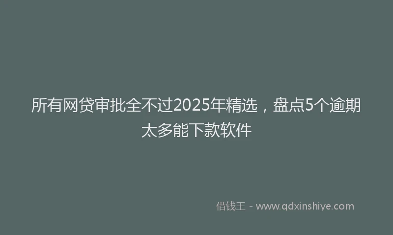 所有网贷审批全不过2025年精选，盘点5个逾期太多能下款软件