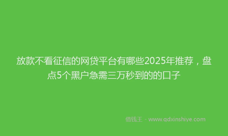 放款不看征信的网贷平台有哪些2025年推荐，盘点5个黑户急需三万秒到的的口子