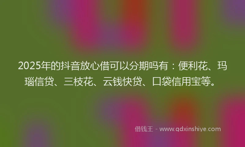 2025年的抖音放心借可以分期吗有：便利花、玛瑙信贷、三枝花、云钱快贷、口袋信用宝等。