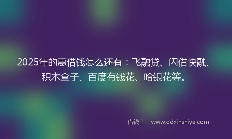 2025年的惠借钱怎么还有：飞融贷、闪借快融、积木盒子、百度有钱花、哈银花等。