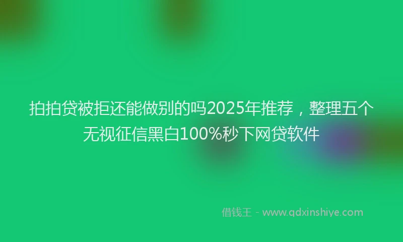 拍拍贷被拒还能做别的吗2025年推荐，整理五个无视征信黑白100%秒下网贷软件