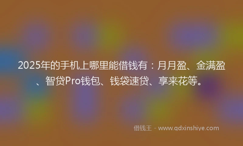 2025年的手机上哪里能借钱有：月月盈、金满盈、智贷Pro钱包、钱袋速贷、享来花等。
