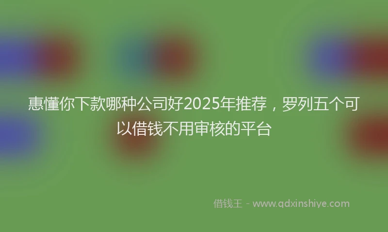 惠懂你下款哪种公司好2025年推荐，罗列五个可以借钱不用审核的平台