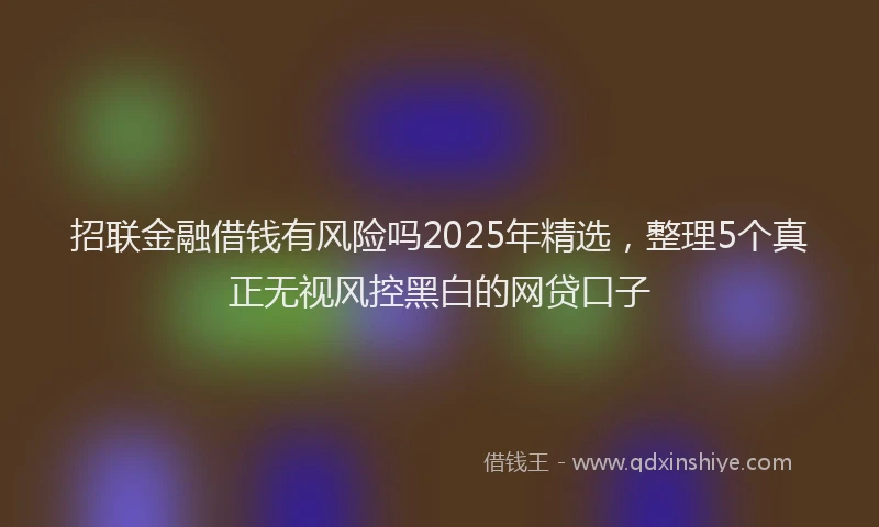 招联金融借钱有风险吗2025年精选，整理5个真正无视风控黑白的网贷口子
