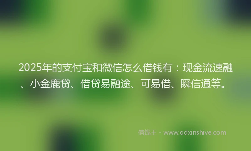 2025年的支付宝和微信怎么借钱有：现金流速融、小金鹿贷、借贷易融途、可易借、瞬信通等。