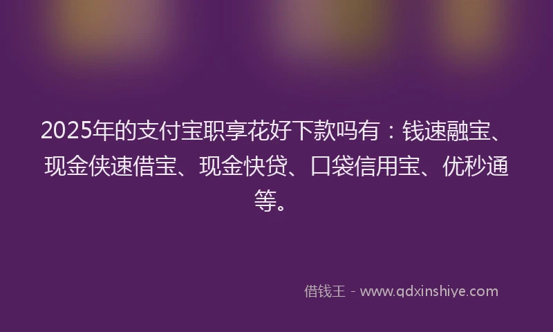2025年的支付宝职享花好下款吗有：钱速融宝、现金侠速借宝、现金快贷、口袋信用宝、优秒通等。