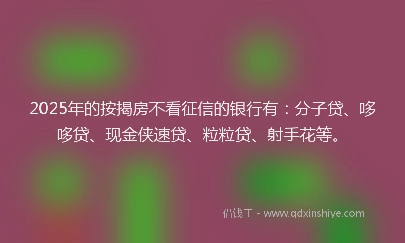 2025年的按揭房不看征信的银行有：分子贷、哆哆贷、现金侠速贷、粒粒贷、射手花等。
