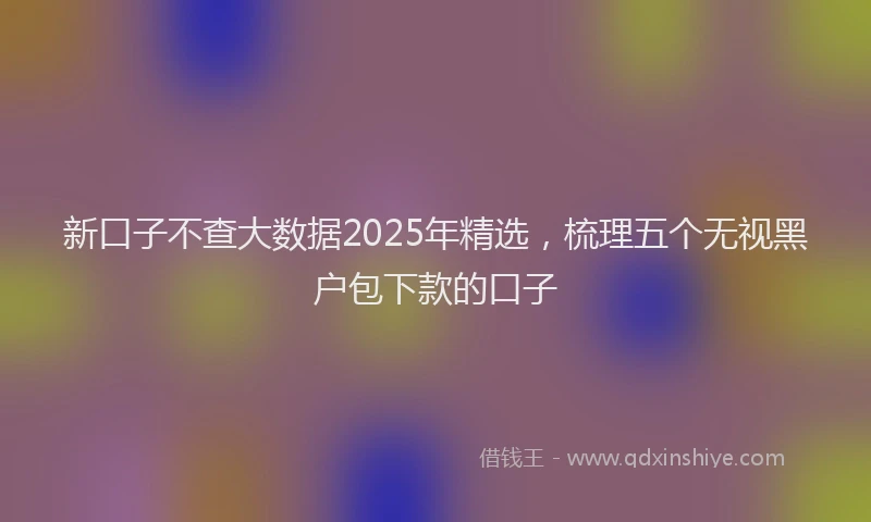 新口子不查大数据2025年精选，梳理五个无视黑户包下款的口子