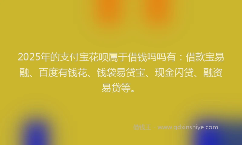 2025年的支付宝花呗属于借钱吗吗有：借款宝易融、百度有钱花、钱袋易贷宝、现金闪贷、融资易贷等。