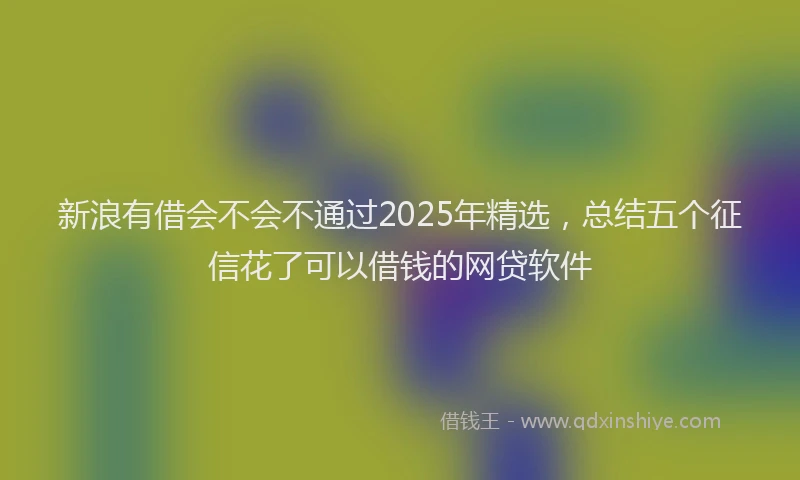 新浪有借会不会不通过2025年精选，总结五个征信花了可以借钱的网贷软件