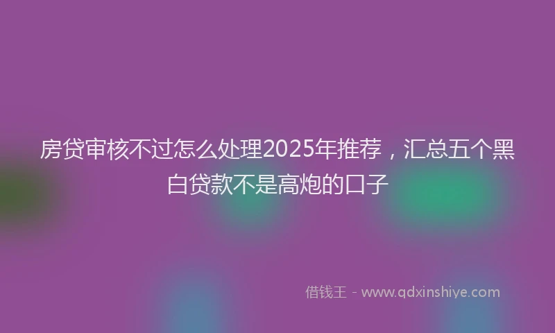 房贷审核不过怎么处理2025年推荐，汇总五个黑白贷款不是高炮的口子