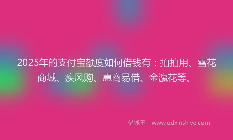 2025年的支付宝额度如何借钱有：拍拍用、雪花商城、疾风购、惠商易借、金瀛花等。