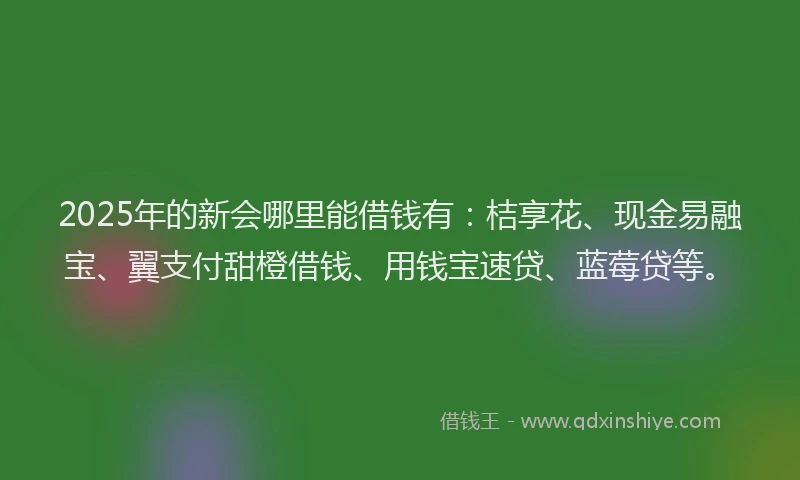 2025年的新会哪里能借钱有：桔享花、现金易融宝、翼支付甜橙借钱、用钱宝速贷、蓝莓贷等。