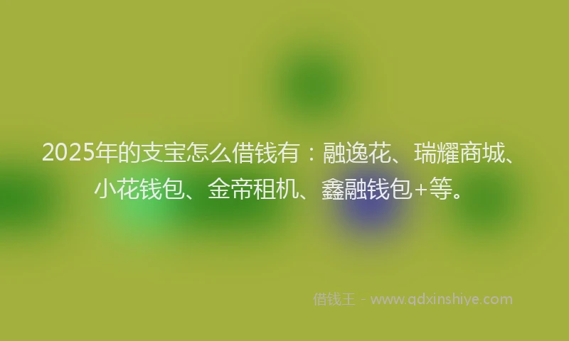 2025年的支宝怎么借钱有：融逸花、瑞耀商城、小花钱包、金帝租机、鑫融钱包+等。