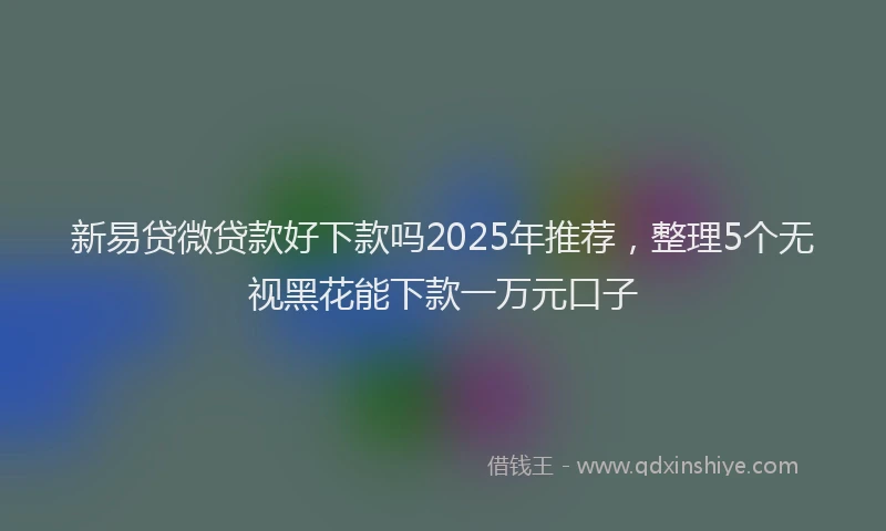 新易贷微贷款好下款吗2025年推荐，整理5个无视黑花能下款一万元口子