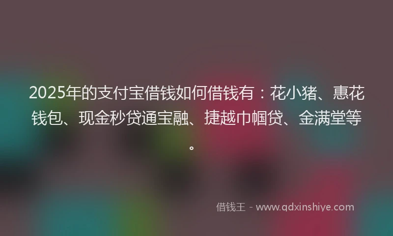 2025年的支付宝借钱如何借钱有：花小猪、惠花钱包、现金秒贷通宝融、捷越巾帼贷、金满堂等。