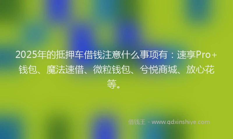 2025年的抵押车借钱注意什么事项有：速享Pro+钱包、魔法速借、微粒钱包、兮悦商城、放心花等。