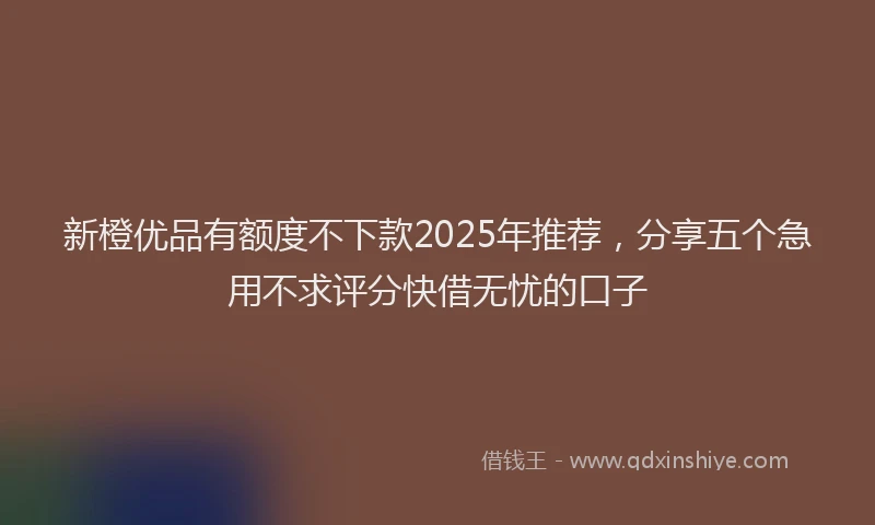 新橙优品有额度不下款2025年推荐，分享五个急用不求评分快借无忧的口子
