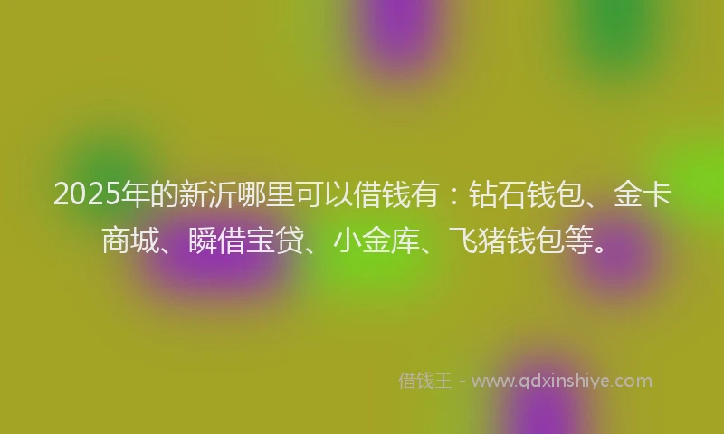 2025年的新沂哪里可以借钱有：钻石钱包、金卡商城、瞬借宝贷、小金库、飞猪钱包等。