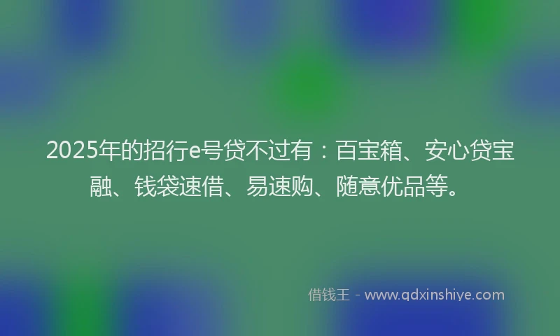 2025年的招行e号贷不过有：百宝箱、安心贷宝融、钱袋速借、易速购、随意优品等。