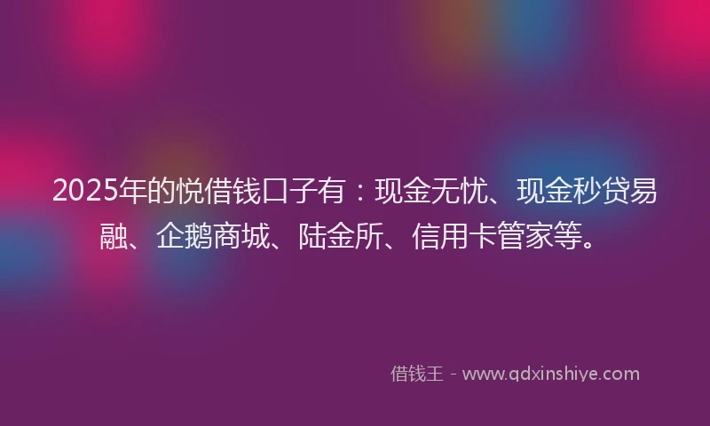 2025年的悦借钱口子有：现金无忧、现金秒贷易融、企鹅商城、陆金所、信用卡管家等。