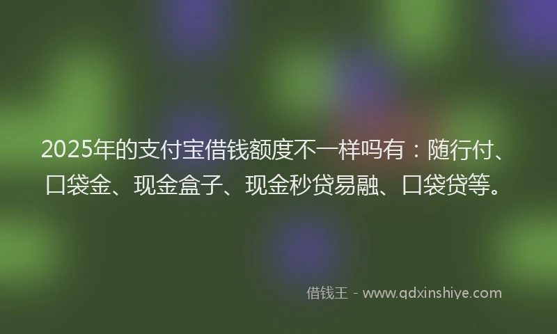 2025年的支付宝借钱额度不一样吗有：随行付、口袋金、现金盒子、现金秒贷易融、口袋贷等。