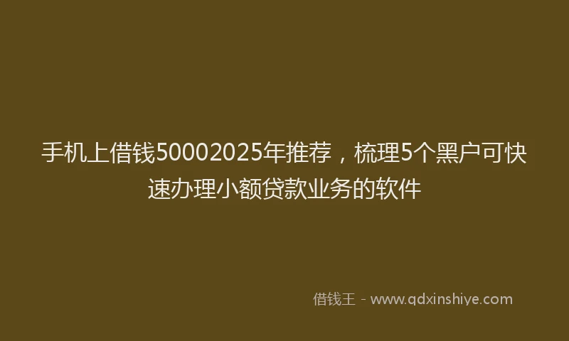 手机上借钱50002025年推荐，梳理5个黑户可快速办理小额贷款业务的软件