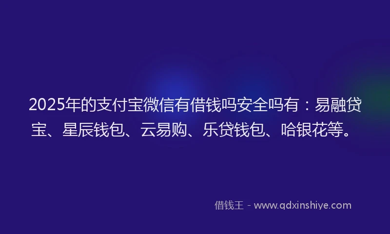2025年的支付宝微信有借钱吗安全吗有：易融贷宝、星辰钱包、云易购、乐贷钱包、哈银花等。