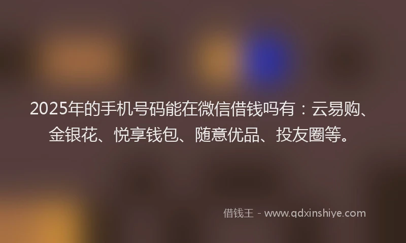 2025年的手机号码能在微信借钱吗有：云易购、金银花、悦享钱包、随意优品、投友圈等。