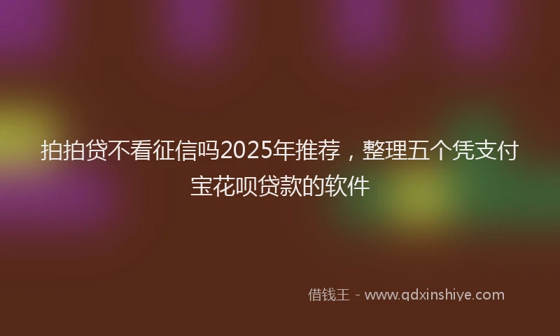 拍拍贷不看征信吗2025年推荐，整理五个凭支付宝花呗贷款的软件