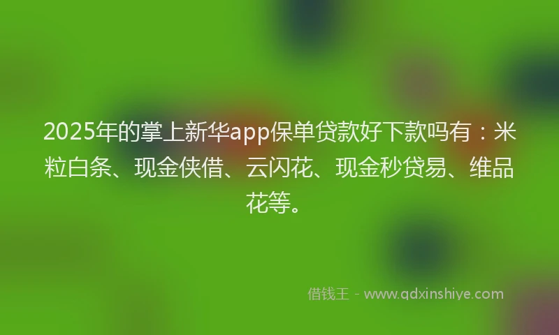 2025年的掌上新华app保单贷款好下款吗有：米粒白条、现金侠借、云闪花、现金秒贷易、维品花等。