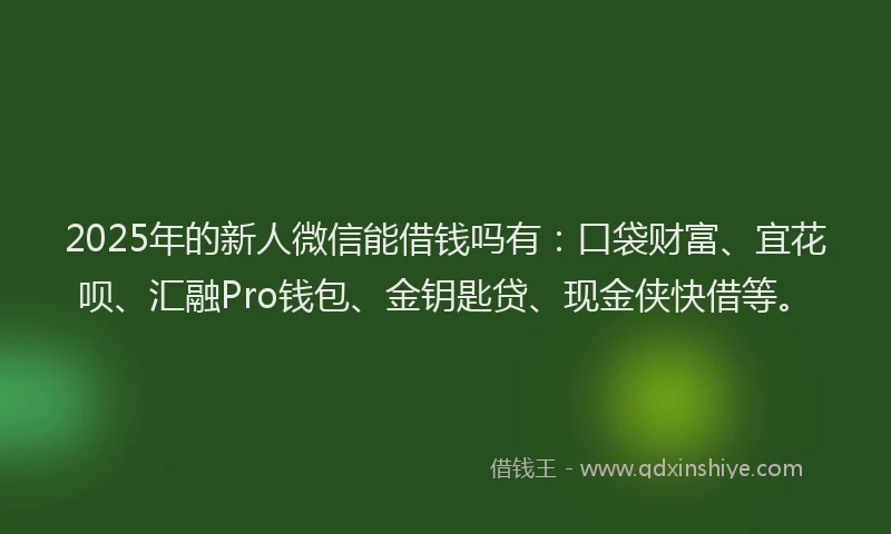 2025年的新人微信能借钱吗有：口袋财富、宜花呗、汇融Pro钱包、金钥匙贷、现金侠快借等。