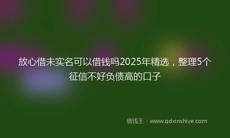 放心借未实名可以借钱吗2025年精选，整理5个征信不好负债高的口子