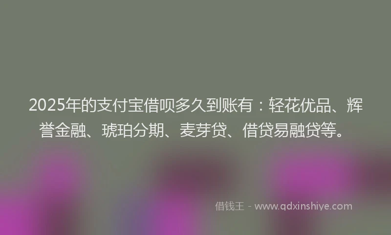 2025年的支付宝借呗多久到账有：轻花优品、辉誉金融、琥珀分期、麦芽贷、借贷易融贷等。