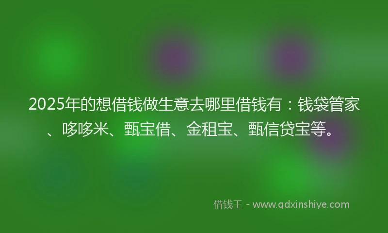 2025年的想借钱做生意去哪里借钱有：钱袋管家、哆哆米、甄宝借、金租宝、甄信贷宝等。