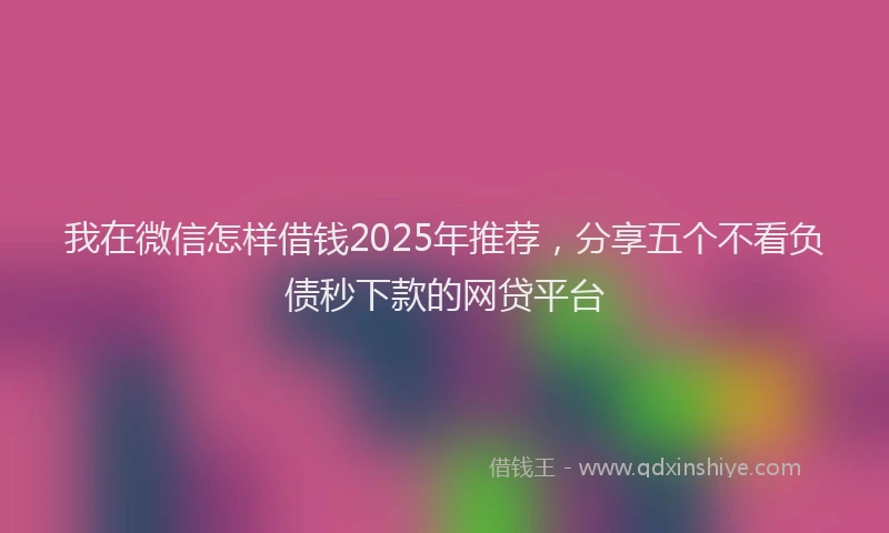 我在微信怎样借钱2025年推荐，分享五个不看负债秒下款的网贷平台