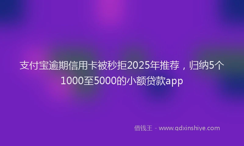 支付宝逾期信用卡被秒拒2025年推荐，归纳5个1000至5000的小额贷款app