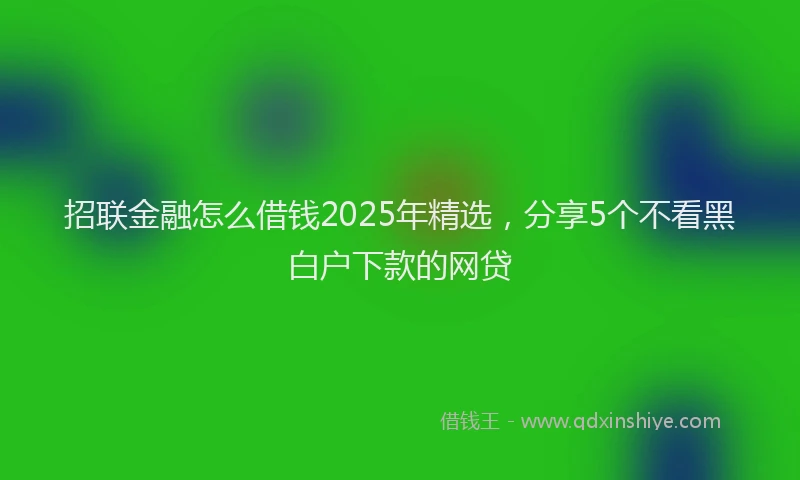 招联金融怎么借钱2025年精选，分享5个不看黑白户下款的网贷