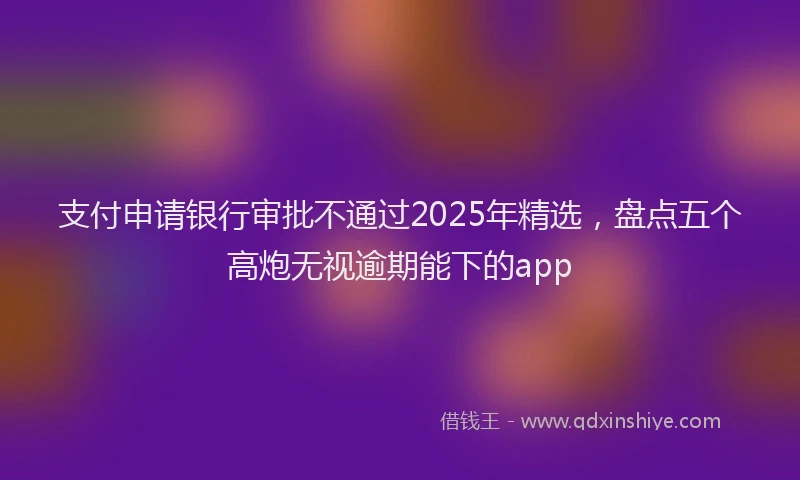 支付申请银行审批不通过2025年精选，盘点五个高炮无视逾期能下的app