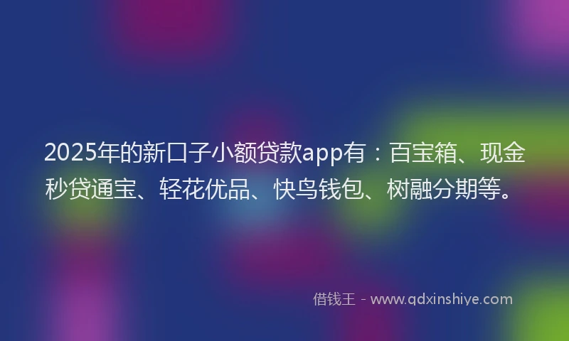 2025年的新口子小额贷款app有：百宝箱、现金秒贷通宝、轻花优品、快鸟钱包、树融分期等。