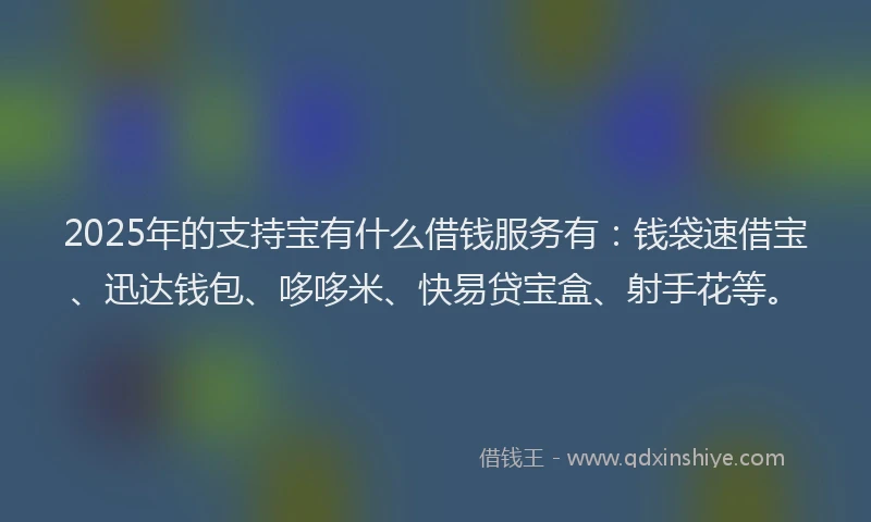 2025年的支持宝有什么借钱服务有：钱袋速借宝、迅达钱包、哆哆米、快易贷宝盒、射手花等。