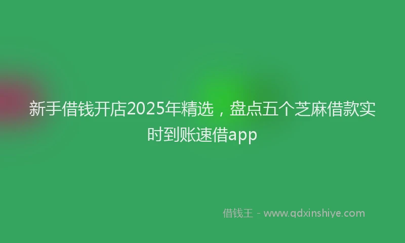 新手借钱开店2025年精选，盘点五个芝麻借款实时到账速借app