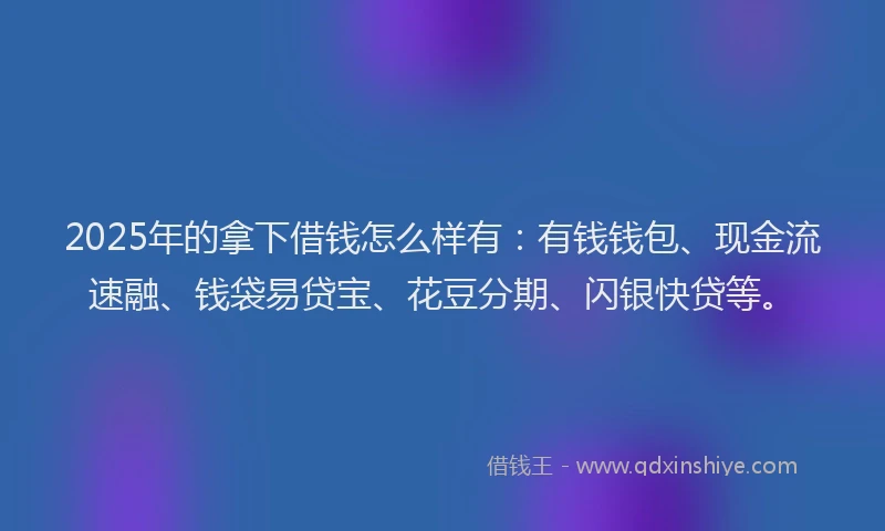 2025年的拿下借钱怎么样有：有钱钱包、现金流速融、钱袋易贷宝、花豆分期、闪银快贷等。