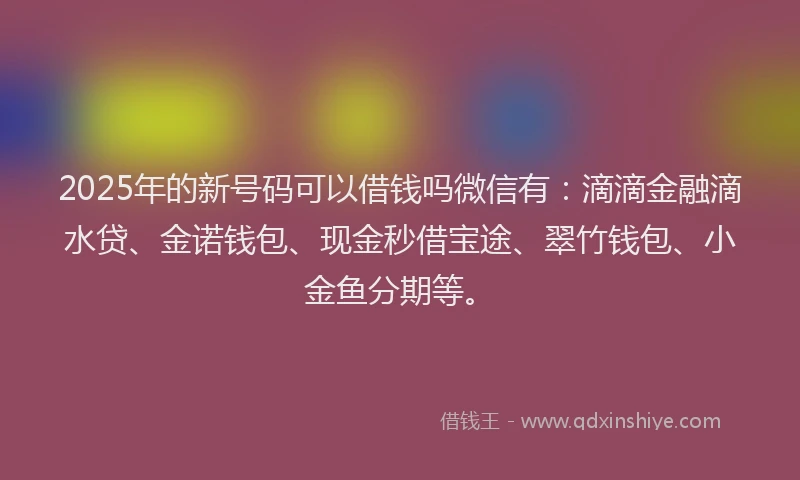 2025年的新号码可以借钱吗微信有：滴滴金融滴水贷、金诺钱包、现金秒借宝途、翠竹钱包、小金鱼分期等。