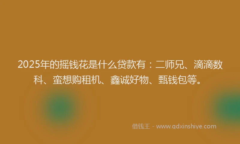 2025年的摇钱花是什么贷款有：二师兄、滴滴数科、蛮想购租机、鑫诚好物、甄钱包等。