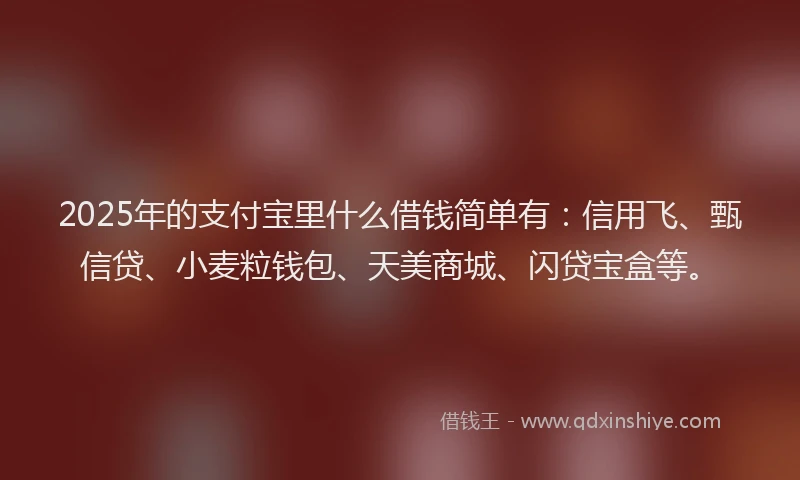 2025年的支付宝里什么借钱简单有：信用飞、甄信贷、小麦粒钱包、天美商城、闪贷宝盒等。